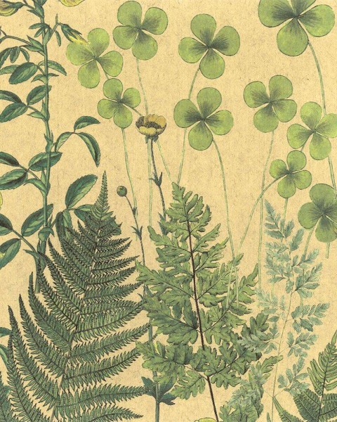FLAX WALLPAPER | Botanical | FWP-BTN-04